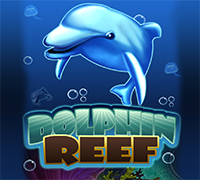 Dolphin Reef